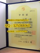 <b>日本東京大学毕业证制作日本東京大学学历证书展示</b>