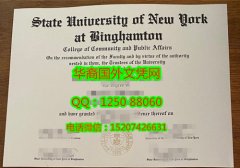 State University of New York at Binghamton Diploma美国纽约州