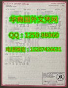 定制美国纽约大学雷曼学院成绩单City University 